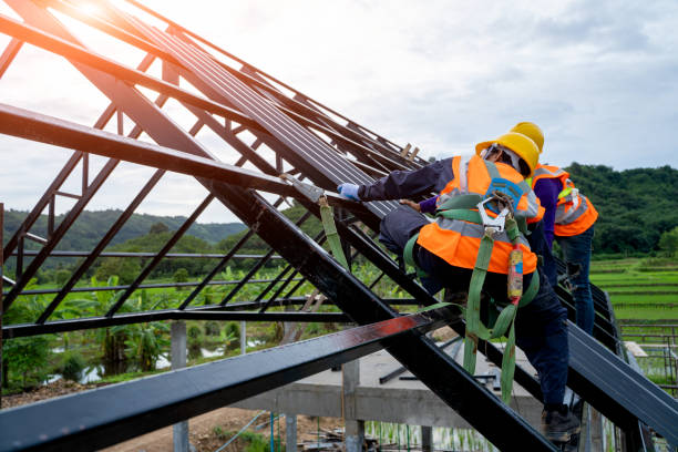 Best Gutter Installation and Roofing  in Newark, TX